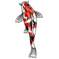 Koi Fish Japanese Taisho Sanshoku Vector Illustration Royalty Free Stock Photo