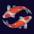 Koi fish in lowpoly style