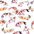 Koi watercolor background