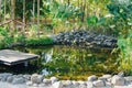 A koi fish pond with a bridge and a rock wall, surrounded by trees inside a forest Royalty Free Stock Photo