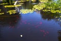 Kiryat Sefer Park in Tel Aviv