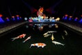 Koi fish reflected on the calm pond water at the Chinese light festival