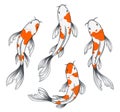 Koi Fish Set Royalty Free Stock Photo