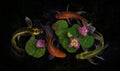 Koi fish swim with Nymphaea nelumbo flowers in bloom Royalty Free Stock Photo