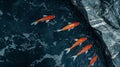 Koi fish swimming Royalty Free Stock Photo