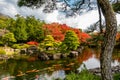 Koi Fish swimming in the pond of Japanese Garden Royalty Free Stock Photo