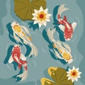 koi fishes airview Royalty Free Stock Photo