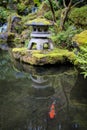Koi in a garden pond Royalty Free Stock Photo