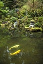 Koi in a garden pond Royalty Free Stock Photo