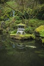 Koi in a garden pond Royalty Free Stock Photo