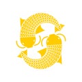 Koi Gold Japanese carp isolated. thai koi fish icon vector illustration