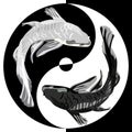 Koi jerks in the yin yang sign. White and black Asian carp in the symbol of life, movement, good and evil. Asian