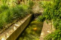 Urban Koi Pond in the gardens of the Alamo in San Antonio Texas Royalty Free Stock Photo