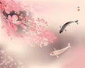 Koi and spring sacura Royalty Free Stock Photo