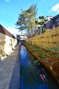 Koi swimming through the canal along Yanaka Lane in Gifu, Japan