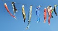 Koinobori carp shaped windsocks in Japan to celebrate Chidren`s day on May 5 Royalty Free Stock Photo