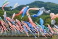 Koinobori carp streamer Japan Royalty Free Stock Photo