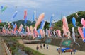 Koinobori carp streamer Japan Royalty Free Stock Photo