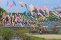 Koinobori carp streamer Japan Royalty Free Stock Photo