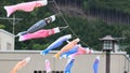koinobori flown in the sky during children\'s day in japan