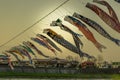 Carp streamers or koinobori over the Kitakami River blowing in strong wind at Tenshochi Park,Kitakami,Iwate,Tohoku,Japan. Royalty Free Stock Photo