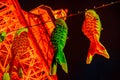 Koinobori at Tokyo Tower Royalty Free Stock Photo