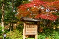 Koishikawa Korakuen Garden in Autumn in Tokyo Royalty Free Stock Photo