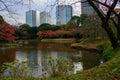 Koishikawa Korakuen Garden in Autumn in Tokyo