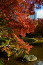 Koishikawa Korakuen Garden in Autumn in Tokyo