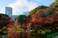 Koishikawa Korakuen Garden in Autumn in Tokyo Royalty Free Stock Photo