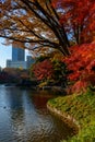 Koishikawa Korakuen Garden in Autumn in Tokyo