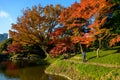 Koishikawa Korakuen Garden in Autumn in Tokyo Royalty Free Stock Photo