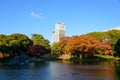 Koishikawa Korakuen Garden in Autumn in Tokyo Royalty Free Stock Photo