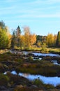 Koiteli rapids, autumn colors.