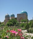 Kok Gumbaz mosque in Shakhrisabz, Uzbekistan Royalty Free Stock Photo