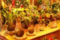 Kokedama collection pots at a market stall