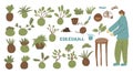 Kokedama set. Doodle vector asian plant collection