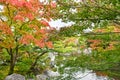 Koko-en Garden of Himeji City during Autumn Season Royalty Free Stock Photo