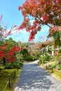 Koko-en Garden of Himeji City during Autumn Season