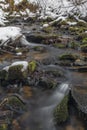 Kokotinsky dick creek with green moss stone in winter cold day Royalty Free Stock Photo