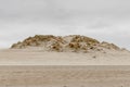 Koksijde,Belgium - February 26, 2020: Dunes covered with dune grass Royalty Free Stock Photo