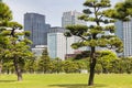 Kokyo Gaien National Garden, the outer gardens of the Imperial Palace in Tokyo, Japan Royalty Free Stock Photo