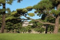 Kokyo Gaien National Garden. Tokyo. Japan Royalty Free Stock Photo