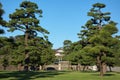 Kokyo Gaien National Garden. Tokyo. Japan