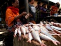 Sea fish sold in traditional markets