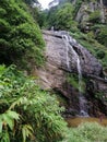 Kolapathana waterfall piduruthalagala Sri Lanka .