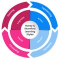 Honey and Mumford Learning Styles Model infographic vector