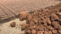 Kolhapur, Maharashtra , India- March 24 2021: Traditional production of clay bricks in India. Bricks factory India