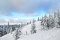 Koli National Park Kolin kansallispuisto Finland in winter, Europe