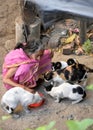 Old woman feeding cats